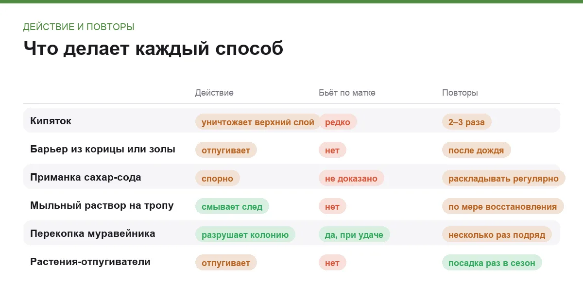 Инфографика: действие каждого способа против муравьёв, бьёт ли он по матке и как часто его нужно повторять