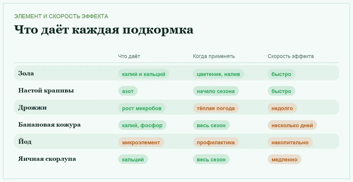 Инфографика: что даёт каждая народная подкормка, когда её применять и насколько быстро виден эффект
