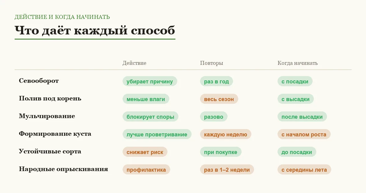 Инфографика: действие каждого способа защиты томатов от фитофторы, частота повторов и время начала