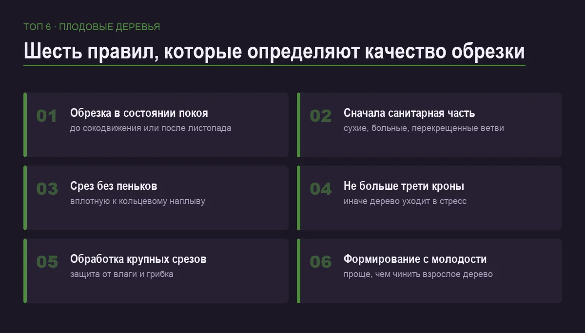 Список шести правил обрезки плодовых деревьев