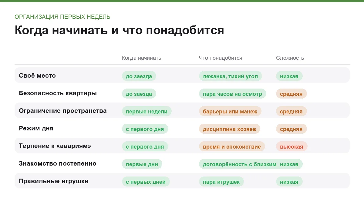 Инфографика: когда начинать каждый шаг, что для него нужно и насколько это сложно