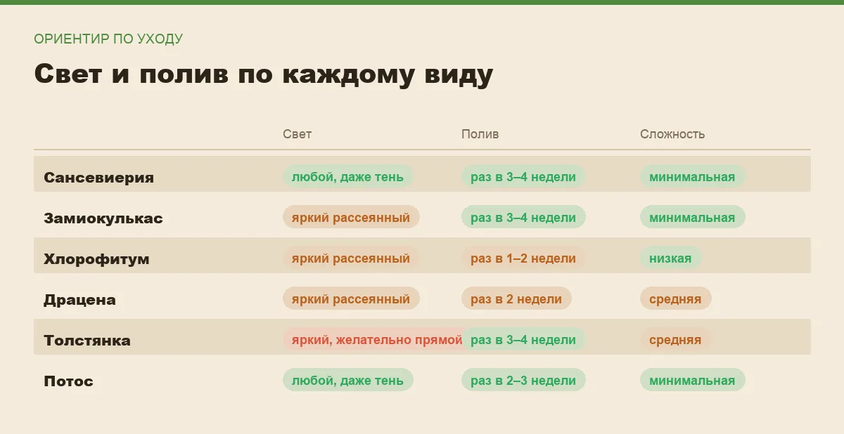 Инфографика: сколько света и как часто нужен полив каждому растению