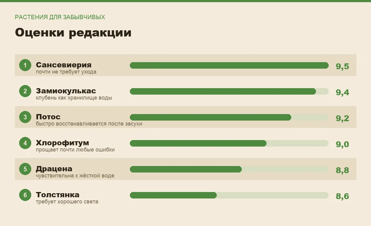 Диаграмма оценок неприхотливых комнатных растений