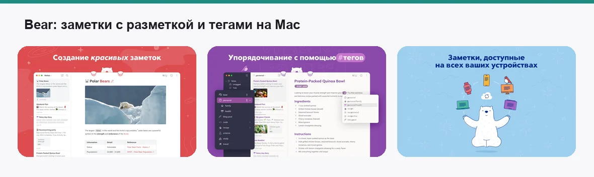 Bear — экраны приложения