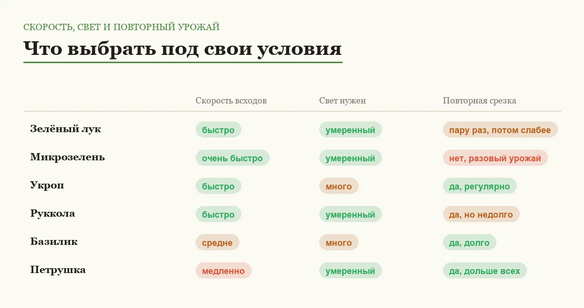 Инфографика: скорость всходов, потребность в свете и возможность повторной срезки для каждой зелени