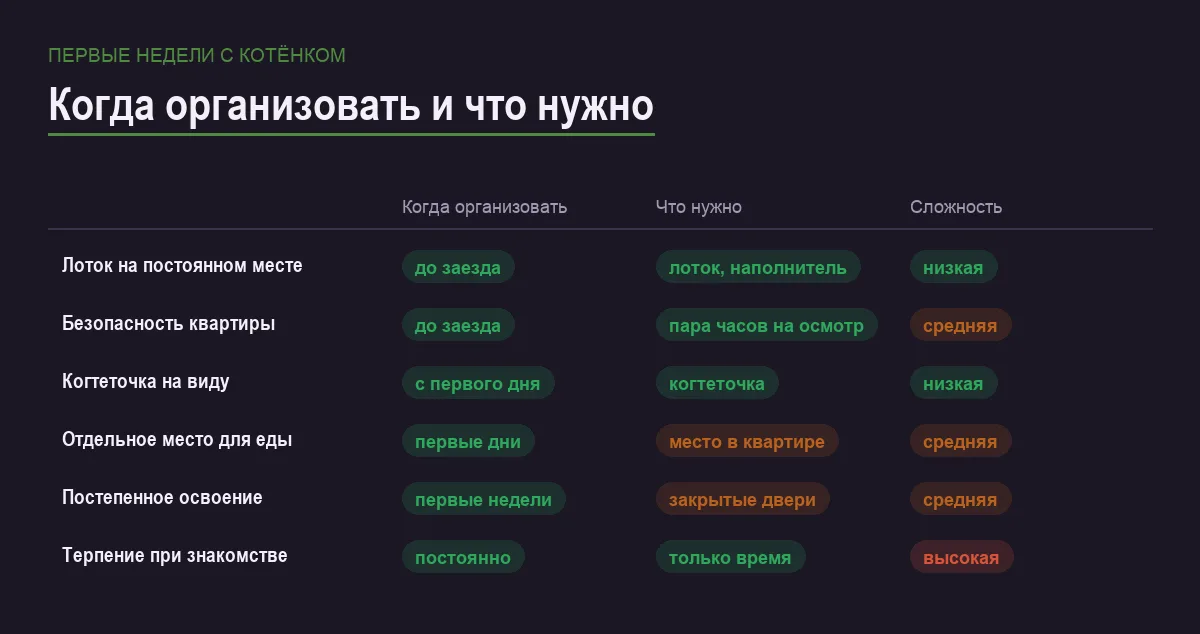 Инфографика: когда организовать каждый шаг для котёнка, что для него нужно и насколько это сложно