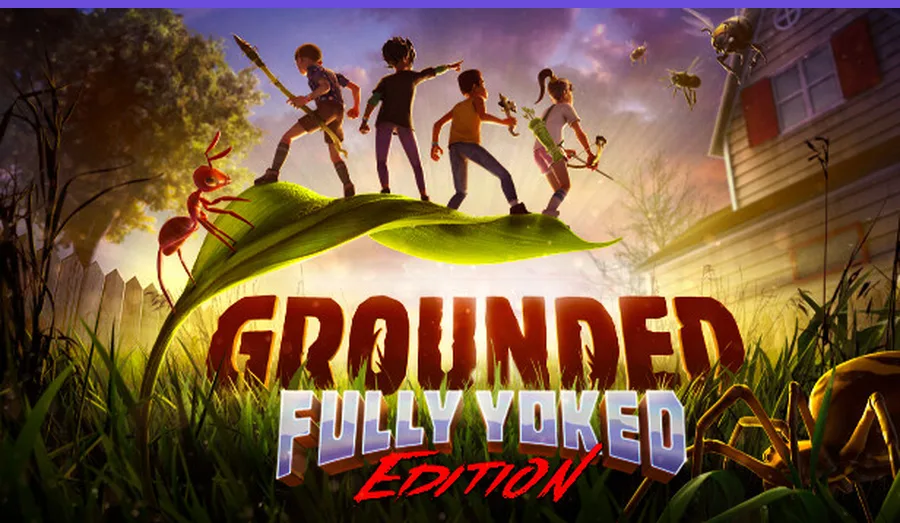 Grounded — витринное изображение