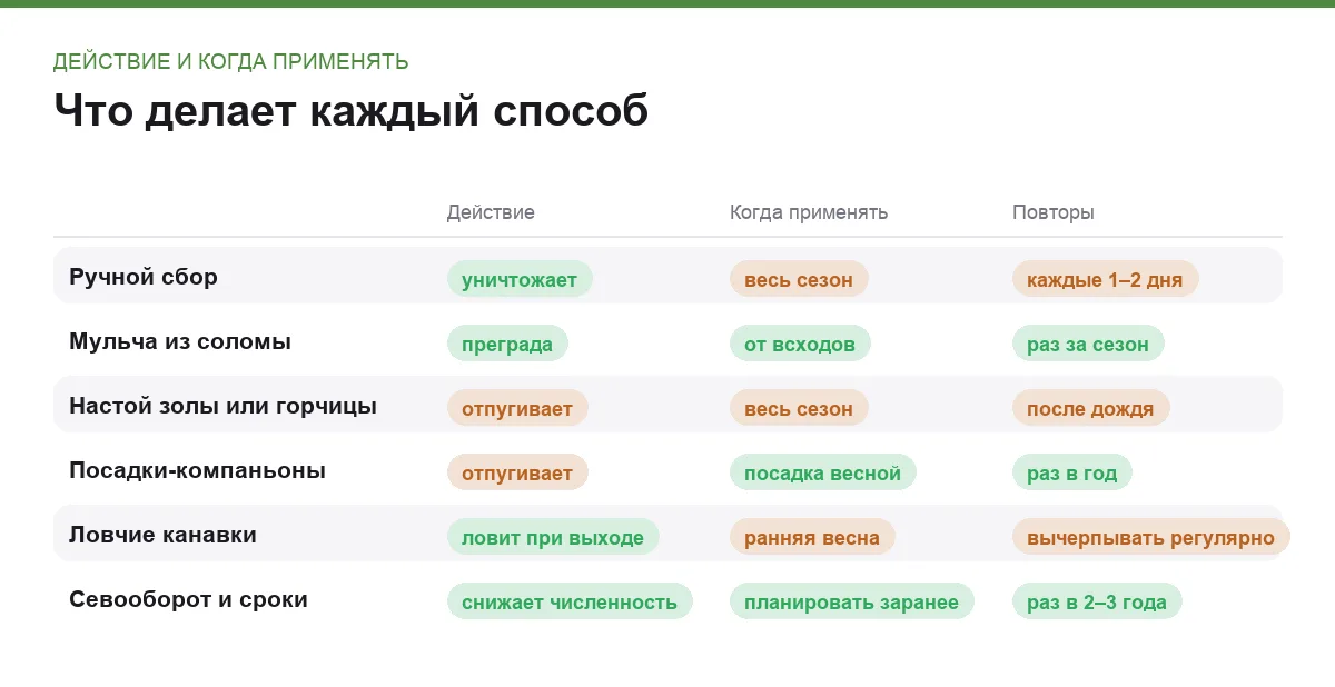 Инфографика: действие каждого способа против колорадского жука, когда его применять и как часто повторять