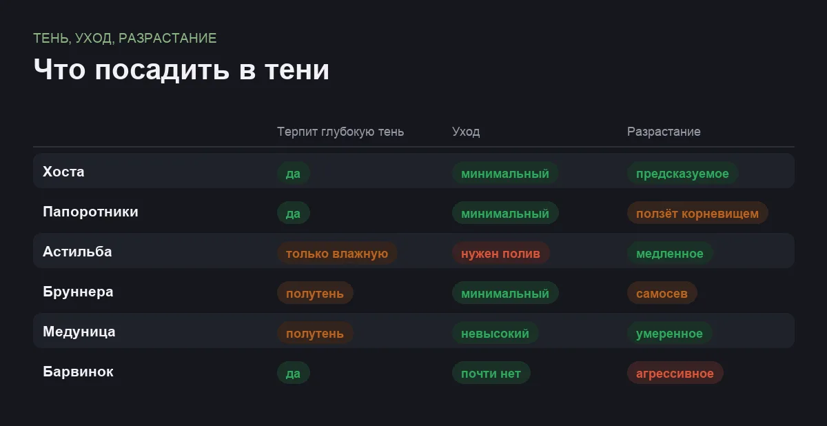 Инфографика: теневыносливость, уход и склонность к разрастанию у шести растений