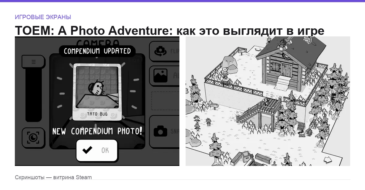 TOEM: A Photo Adventure — игровые экраны