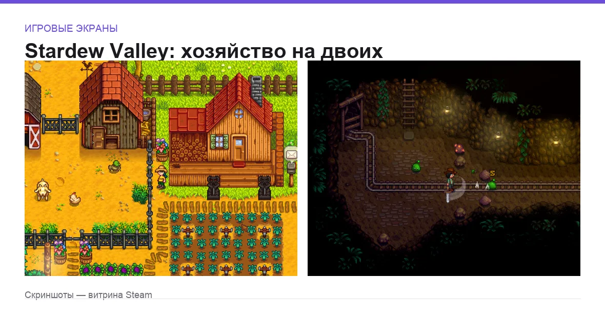 Stardew Valley — игровые экраны